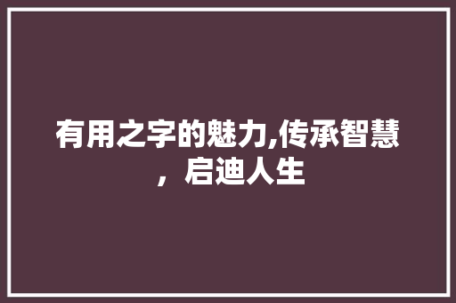 有用之字的魅力,传承智慧，启迪人生 工作总结