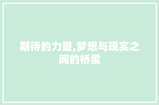 期待的力量,梦想与现实之间的桥梁