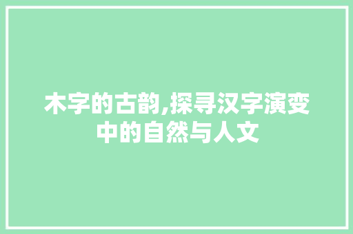 木字的古韵,探寻汉字演变中的自然与人文