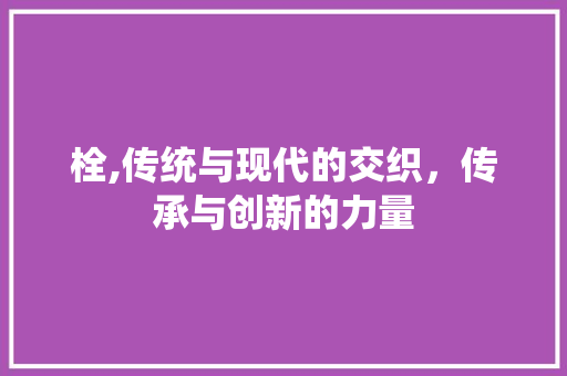 栓,传统与现代的交织，传承与创新的力量