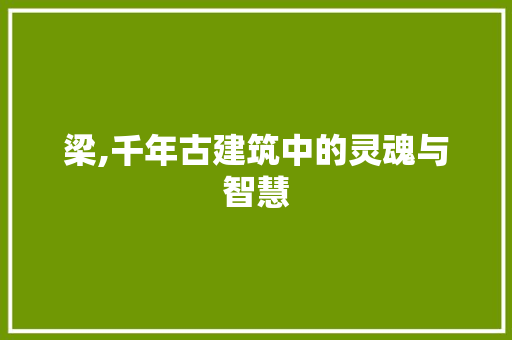 梁,千年古建筑中的灵魂与智慧