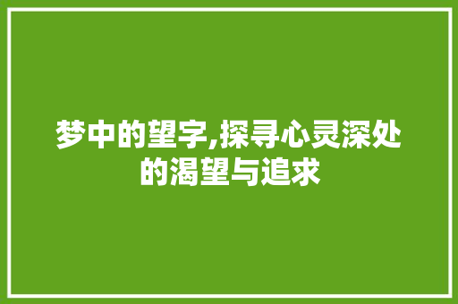 梦中的望字,探寻心灵深处的渴望与追求