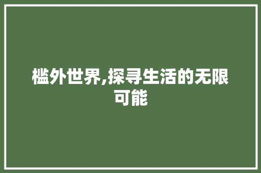 槛外世界,探寻生活的无限可能