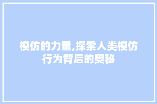 模仿的力量,探索人类模仿行为背后的奥秘