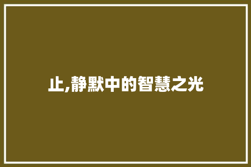 止,静默中的智慧之光 工作总结