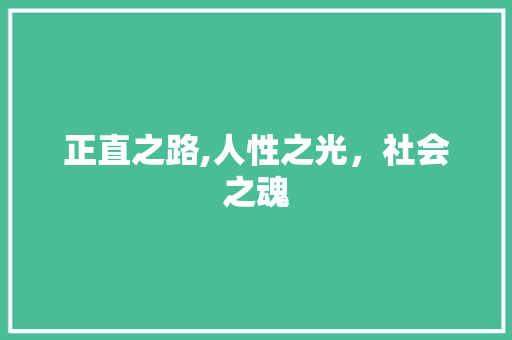 正直之路,人性之光，社会之魂 生活感悟