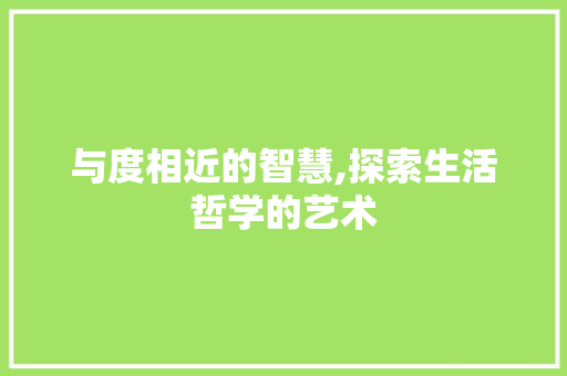 与度相近的智慧,探索生活哲学的艺术