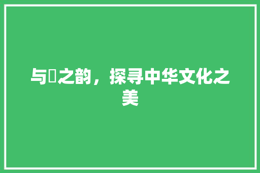 与玥之韵，探寻中华文化之美