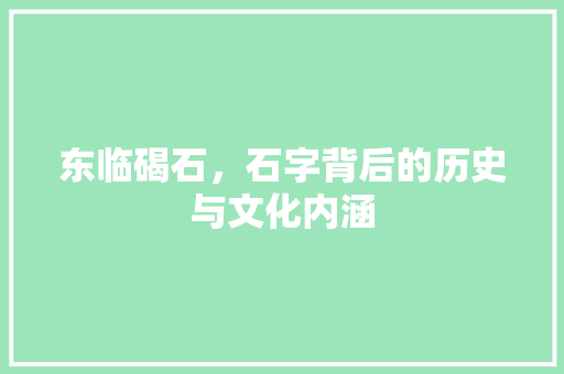 东临碣石，石字背后的历史与文化内涵 工作报告