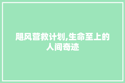 飓风营救计划,生命至上的人间奇迹