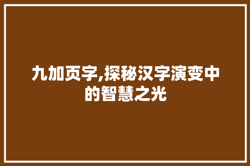 九加页字,探秘汉字演变中的智慧之光