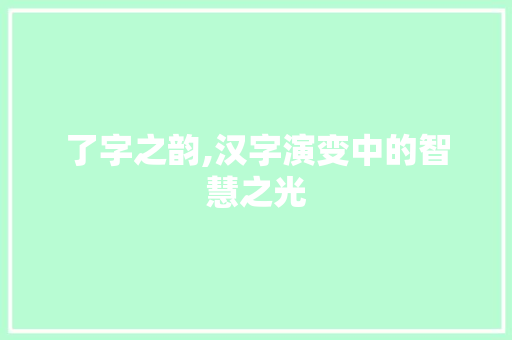 了字之韵,汉字演变中的智慧之光
