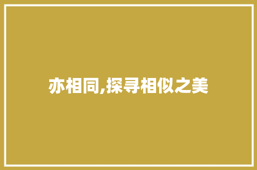 亦相同,探寻相似之美