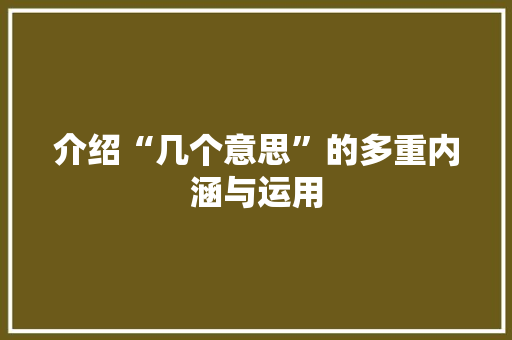 介绍“几个意思”的多重内涵与运用