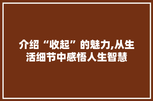 介绍“收起”的魅力,从生活细节中感悟人生智慧