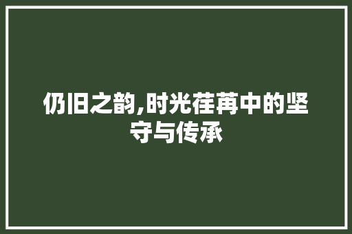 仍旧之韵,时光荏苒中的坚守与传承
