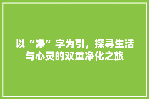 以“净”字为引，探寻生活与心灵的双重净化之旅