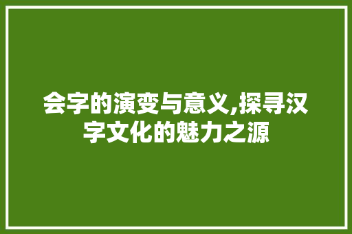 会字的演变与意义,探寻汉字文化的魅力之源