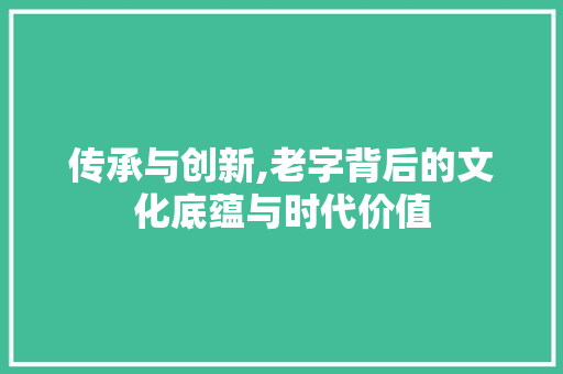 传承与创新,老字背后的文化底蕴与时代价值