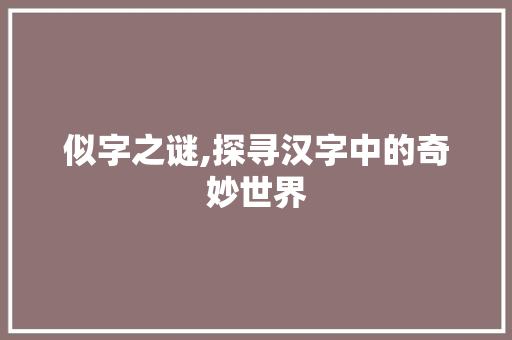 似字之谜,探寻汉字中的奇妙世界
