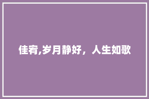 佳宥,岁月静好，人生如歌 工作报告
