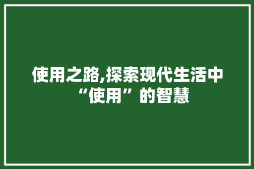 使用之路,探索现代生活中“使用”的智慧 采访稿