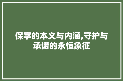 保字的本义与内涵,守护与承诺的永恒象征