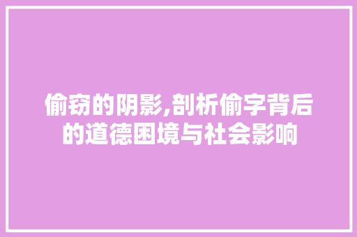 偷窃的阴影,剖析偷字背后的道德困境与社会影响