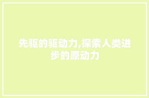 先驱的驱动力,探索人类进步的原动力