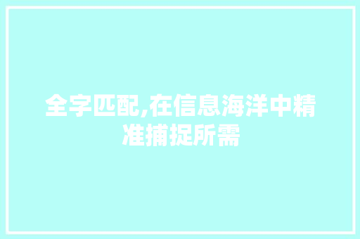全字匹配,在信息海洋中精准捕捉所需