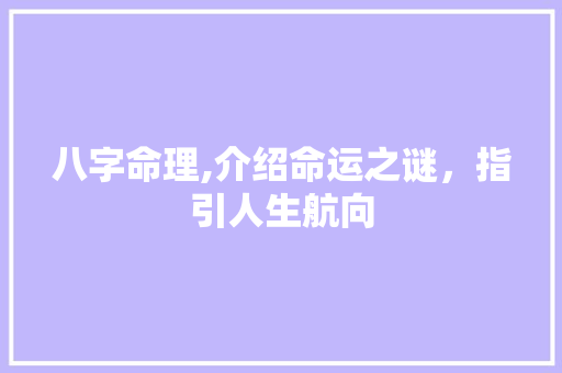 八字命理,介绍命运之谜，指引人生航向