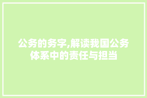 公务的务字,解读我国公务体系中的责任与担当
