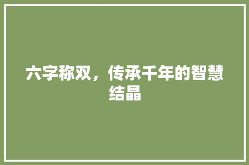六字称双，传承千年的智慧结晶