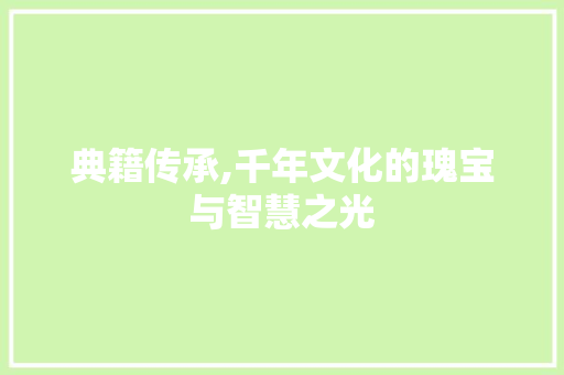 典籍传承,千年文化的瑰宝与智慧之光