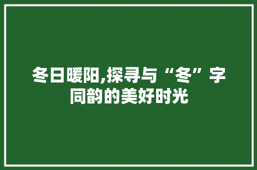 冬日暖阳,探寻与“冬”字同韵的美好时光