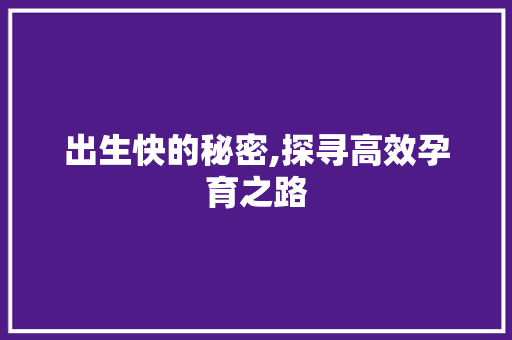 出生快的秘密,探寻高效孕育之路