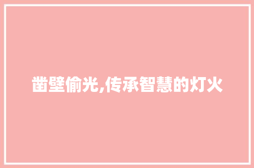 凿壁偷光,传承智慧的灯火