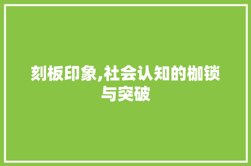 刻板印象,社会认知的枷锁与突破