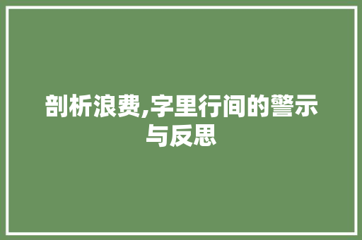 剖析浪费,字里行间的警示与反思