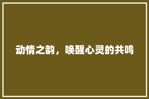 动情之韵，唤醒心灵的共鸣