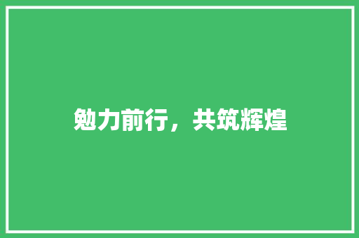 勉力前行，共筑辉煌