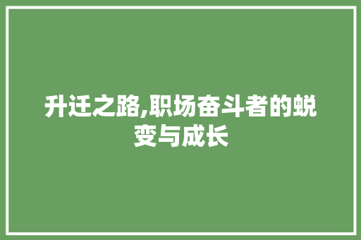 升迁之路,职场奋斗者的蜕变与成长