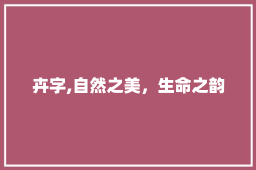 卉字,自然之美，生命之韵