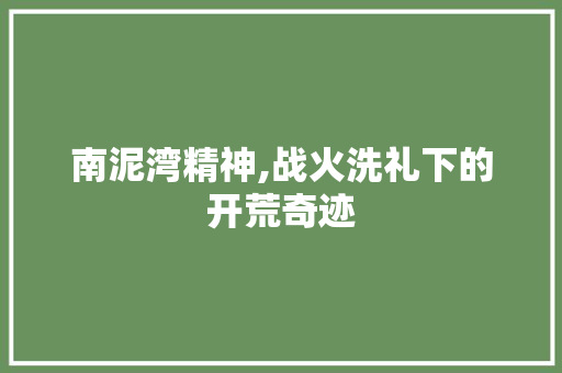 南泥湾精神,战火洗礼下的开荒奇迹