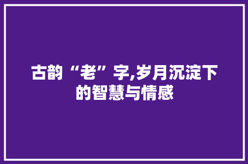 古韵“老”字,岁月沉淀下的智慧与情感