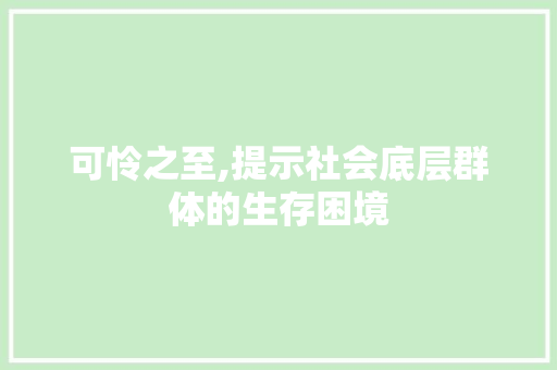 可怜之至,提示社会底层群体的生存困境