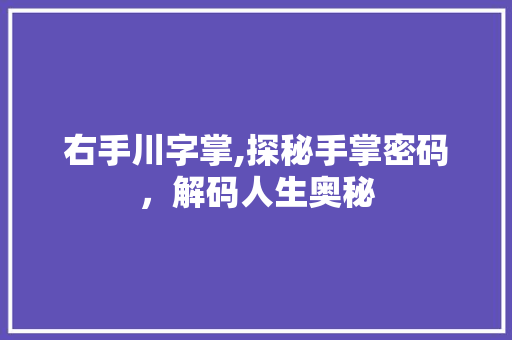 右手川字掌,探秘手掌密码，解码人生奥秘