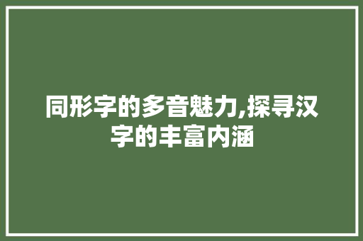 同形字的多音魅力,探寻汉字的丰富内涵 采访稿