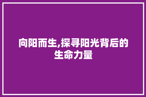 向阳而生,探寻阳光背后的生命力量