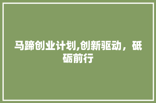 马蹄创业计划,创新驱动，砥砺前行